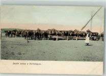 Hortobagy Foto AK Tracht Ziehbrunnen Pferde