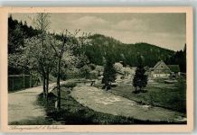 08359 O9431 Erlabrunn , Erzgeb 1926 Foto AK Gasthaus sommerfrische