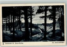 25826 W2252 St. Peter-Ording - Das Kiefernwäldchen Verlag Fangmeier Nr. 3