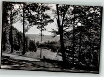 34508 W3542 Willingen (Upland) , Waldeck FOTO KEINE AK Foto Original aus Archiv eines Ansichtskartenverlages