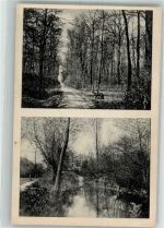 06749 O4440 Wolfen , Anh - Weg zum Waldhaus Zöckeritz Kreis Bitterfeld