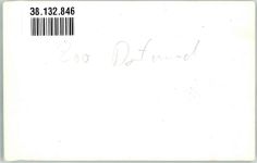W4600 Dortmund Tigergehege im Dortmunder Zoo Ort handschriftlich Tiger FOTO KEINE AK
