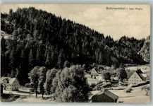 88167 W8999 Schüttentobel 1914 Foto AK