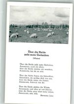 Hermann Löns Gedicht Über d. Heide geht mein Gedanke Schriftsteller