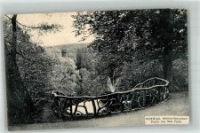 99423 O5300 Weimar , Thür 1910 - Park des Schloss Belvedere