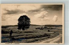 92714 W8481 Pleystein