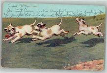 Jack Russell B.K.W.I. 531-5 Einriß Terrier 1904 Gebrauchsspuren