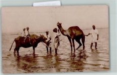 Büffel und Kamel baden im Nil AK Volkstypen / Brauchtum Indien Foto AK