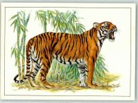 Bengaltiger , sign. Reiner Zieger AK Tiger 1984 Künstlerkarte