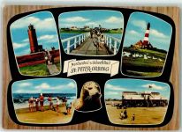 25826 W2252 St. Peter-Ording - Strand Leuchtturm Gänse Seehund Arche Noah
