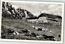 Steinlingalm - Kuhweide Kampenwand Hüttenstempel