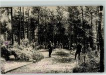 52062 W5100 Aachen 1915 - Stadtwald Heldengräber im Heldenhain