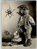 Einer spinnt immer Spinne Blumen Nr.22 Mecki Foto AK