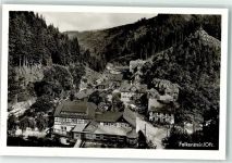 96337 W8642 Falkenstein - Hotel u. Brauerei Gasthaus