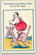 Humor Pferd Dicker Mensch