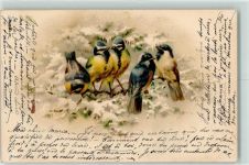 Meise 1900 Lithographie