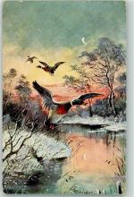signiert Schröpler Mondschein Winter Ente Künstlerkarte