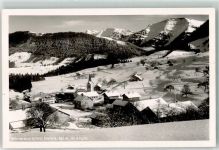 87534 W8974 Steibis - Winter