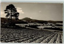 02779 O8813 Waltersdorf b Zittau - Zittauer Gebirge Blick zur Lausche