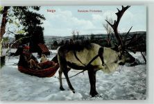 Rentier Schlitten Tracht Motiv Norwegen