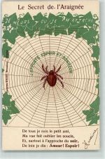 Das Geheimnis der Spinne Spruch Spinne 1905
