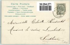 Das Geheimnis der Spinne Spruch Spinne 1905