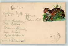 Lithographie Tiger 1905 Gebrauchsspuren