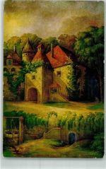 Brunnen Amag Nr.1118 Bauernhaus Künstlerkarte