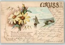 Gruss aus Blumen Segelboot 1900 Lithographie
