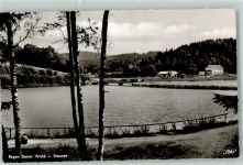 94209 W8370 Regen - Scheibe-Alsbach Stausee