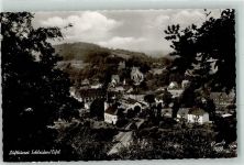 53937 W5372 Schleiden , Eifel Foto AK Schloss und Schlosskirche mit Ev. Kirche