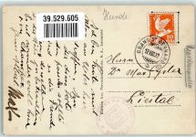 Sion Sitten Bernhardiner Hospiz du Grand St. Bernard Welpe