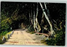 23714 W2423 Bad Malente-Gremsmühlen - Schöne Aussicht am Holm