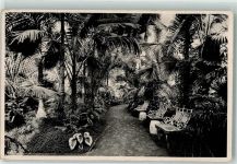Eisgrub Lednice 1939 Gebrauchsspuren Palmenhaus Foto AK