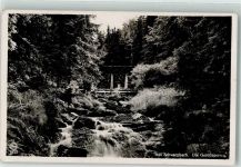 Bad Schwarzbach Czerniawa Zdroj Foto AK Geröllsperren Isergebirge