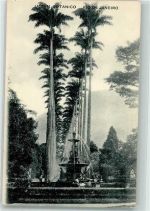 Rio de Janeiro - Botanischer Garten