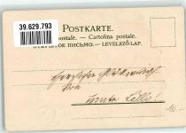 Verlag Stroefers Nr.96 Rotkehlchen Prägedruck