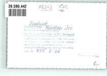 34346 W3510 Laubach , Kr Hann Münden FOTO KEINE AK Foto Original aus Archiv eines Ansichtskartenverlags Märchen Zoo Ort handschriftlich
