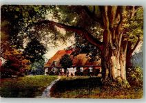 29646 W3045 Bispingen 1913 Gebrauchsspuren Ort handschriftlich Lüneburger Heide