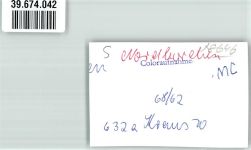 33178 W4799 Nordborchen FOTO KEINE AK Ort handschriftlich Foto Original aus Archiv eines Ansichtskartenverlags