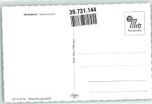 78148 W7741 Gütenbach Foto AK
