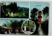 02739 O8719 Walddorf , OL 1920 Gebrauchsspuren Gasthaus Kottmarberg Aussichtsturm Spreequelle