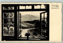 79691 W7861 Neuenweg Foto AK Gasthaus Haldenhof Belchenblick