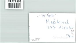 88605 W7790 Meßkirch FOTO KEINE AK Denkmal Ort handschriftlich Foto Original aus Archiv eines Ansichtskartenverlags
