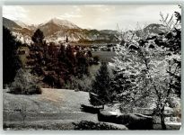 Bled Veldes Foto AK