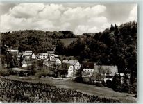 79733 W7883 Tiefenstein Foto AK