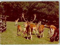 51766 W5250 Engelskirchen FOTO KEINE AK Wildpark Ort handschrfitlich Foto Original aus Archiv eines Ansichtskartenverlags