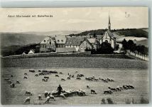 52396 W5169 Mariawald , Abtei Foto AK Kirche Abtei Schafherde