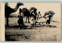 Tracht Kamel Palästina Motiv Israel Foto AK