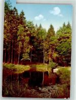 34474 W3549 Wrexen FOTO KEINE AK Weiher im Wald Foto Original aus Archiv eines Ansichtskartenverlags Ort handschriftlich